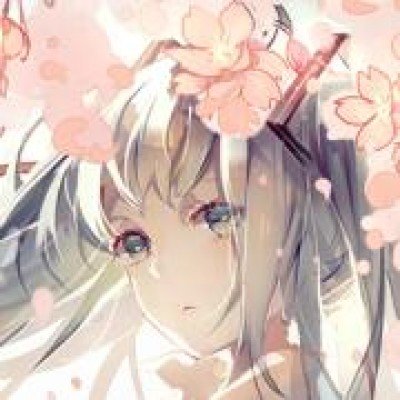 张雪严凯握手言和